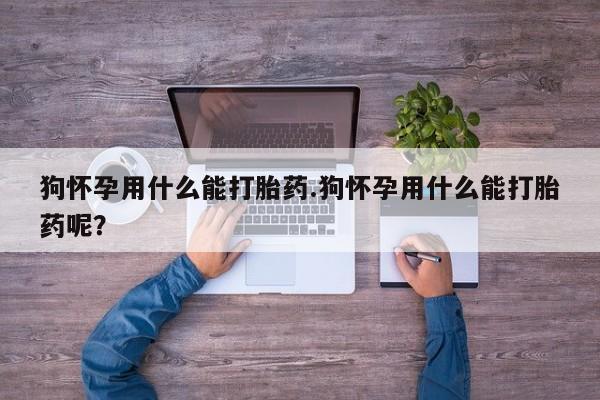 私人卖堕胎药的微信狗怀孕用什么能打胎药.狗怀孕用什么能打胎药呢？