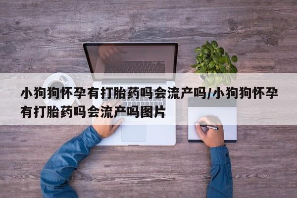 私人卖堕胎药的微信小狗狗怀孕有打胎药吗会流产吗/小狗狗怀孕有打胎药吗会流产吗图片