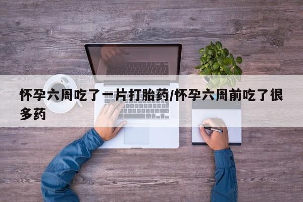 私人卖堕胎药的微信怀孕六周吃了一片打胎药/怀孕六周前吃了很多药