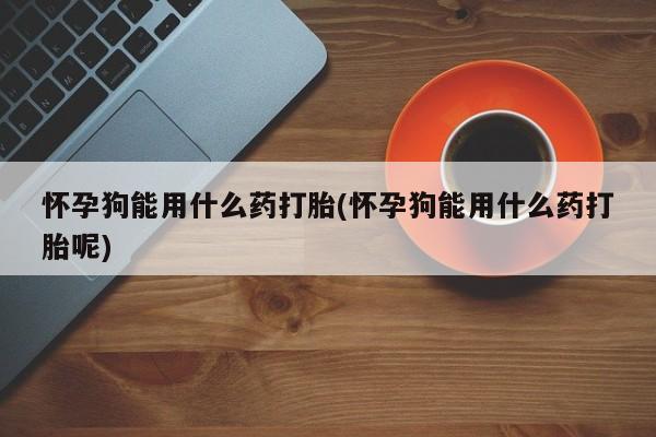 私人卖堕胎药的微信怀孕狗能用什么药打胎(怀孕狗能用什么药打胎呢)