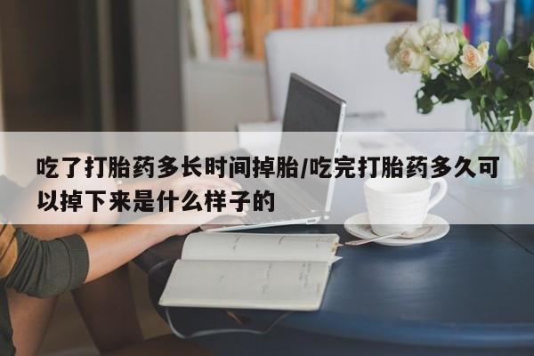 私人卖堕胎药的微信吃了打胎药多长时间掉胎/吃完打胎药多久可以掉下来是什么样子的